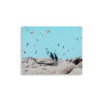 tranquil contrast thumb 3