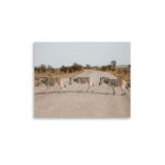 zebra crossing thumb 3