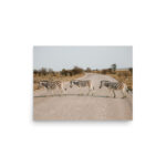 zebra crossing thumb 4