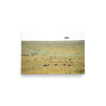 wildlife harmony thumb 5