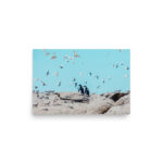 tranquil contrast thumb 5