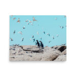 tranquil contrast thumb 6