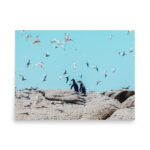 tranquil contrast thumb 7