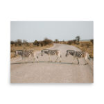 zebra crossing thumb 6