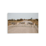 zebra crossing thumb 8