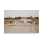 zebra crossing thumb 7